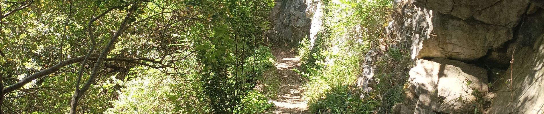 Tour Wandern Caudiès-de-Fenouillèdes - ND de lavall - Photo