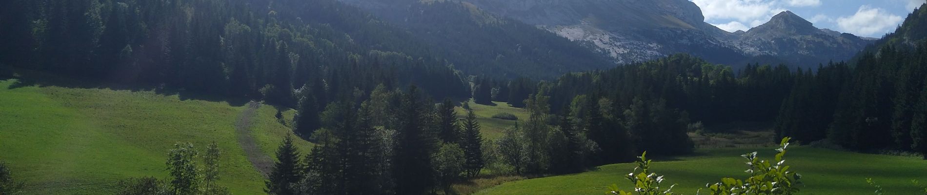 Trail Walking Villard-de-Lans - billards de lens - Photo