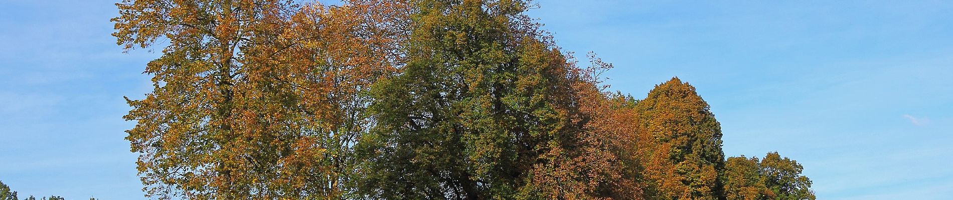 Tocht Te voet Gemeinde Zwettl-Niederösterreich - AT-2 - Photo