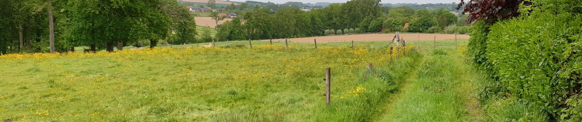 Trail Electric bike Ronse - Renaix - chemins vers la Cruche - Photo