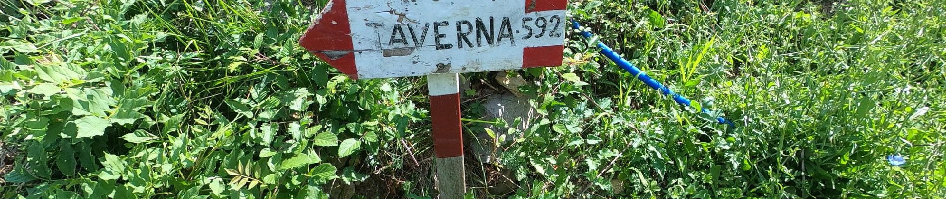 Tocht Te voet Val Brembilla - Sentiero 505B: Zogno (via Sottocorna) - contrada Casarielli - S. Antonio Abbandonato - Photo