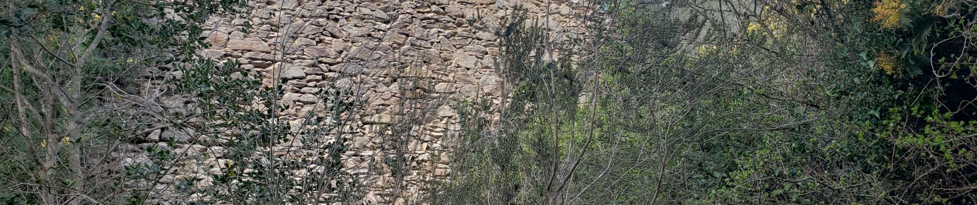 Randonnée Marche Roquebrune-sur-Argens - Le Fournel - Photo