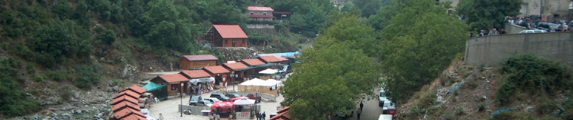 Tour Zu Fuß Santo Stefano in Aspromonte - (SI U02) Gambarie - Polsi - Photo