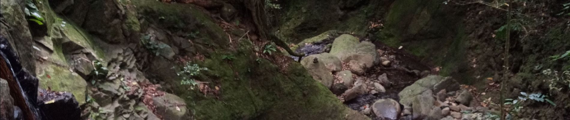 Percorso Marcia Bouillante - Aquarando Rivière Losteau - Rivière Espérance - Photo