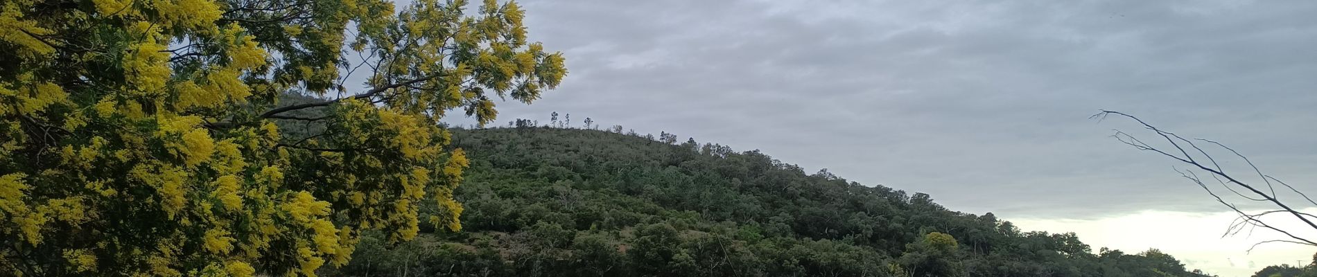 Tocht Mountainbike Bormes-les-Mimosas - Dfci du trapan - Photo