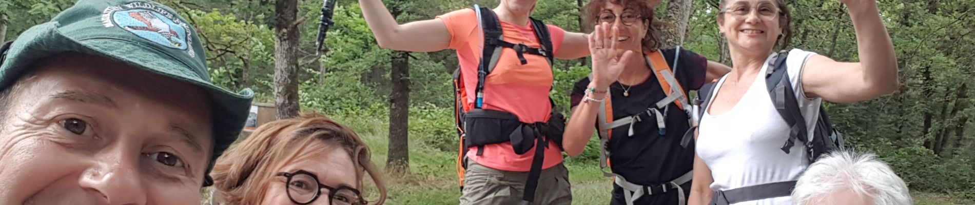 Tocht Stappen Le Vaudoué - Au pieds des 25 bosses  - Photo