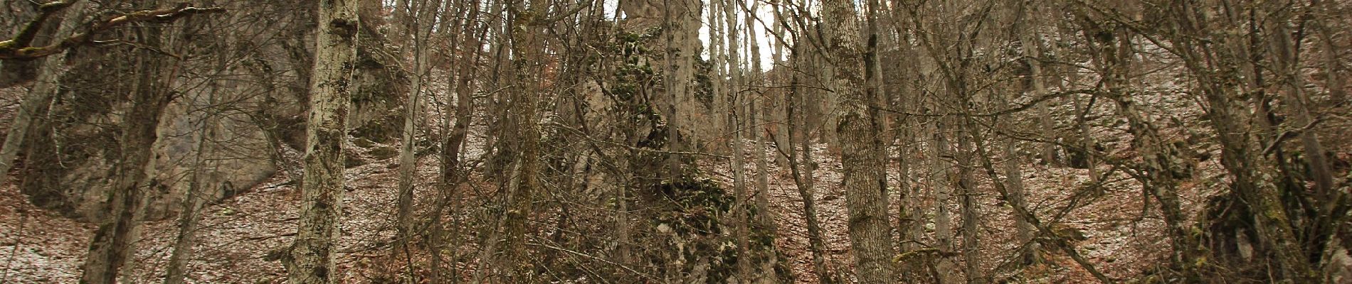 Excursión A pie Unknown - Poteca Cheii din Cheile Vârghișului - Photo