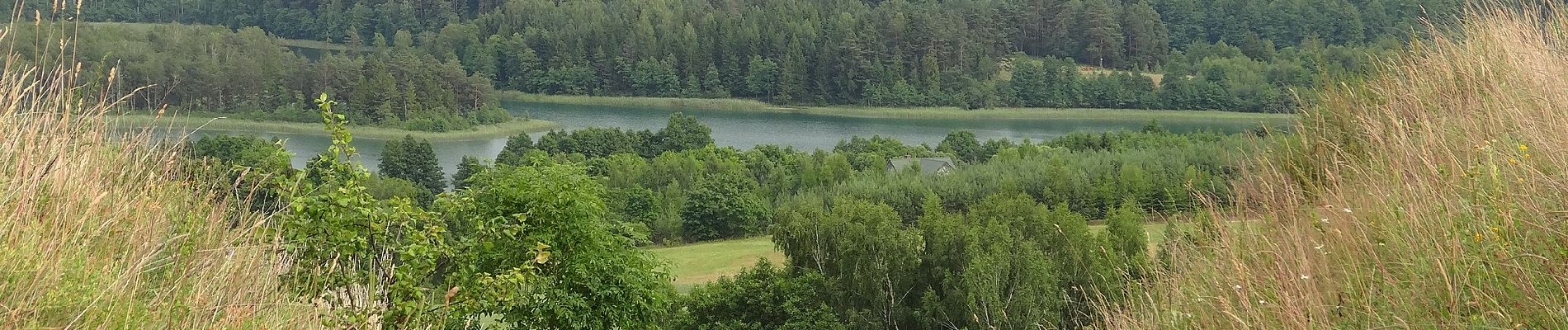 Tour Zu Fuß Smolniki - Wokół jeziora Jaczno - Photo