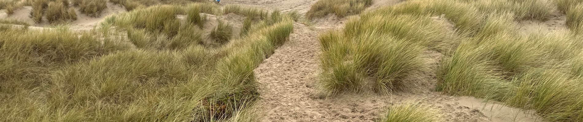 Trail Walking Blankenberge - Blankenberge 11 km - Photo