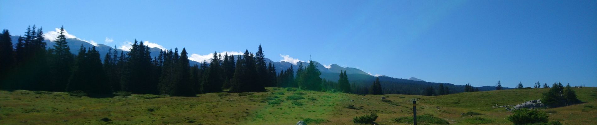 Trail Walking La Chapelle-en-Vercors - la Sarna /Roche Rousse - Photo