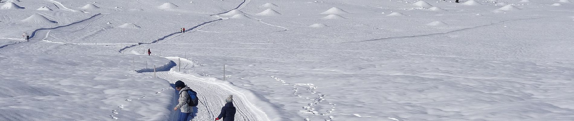 Tour Zu Fuß Enego - Sentiero dei Cippi variante - Photo