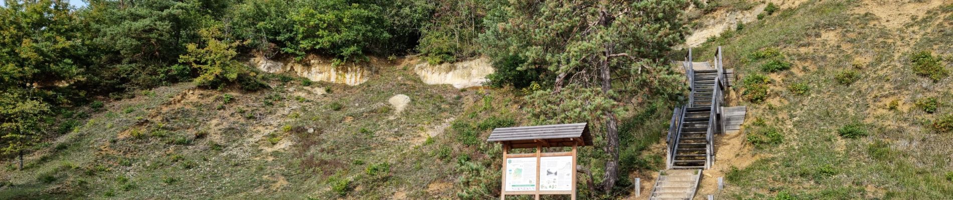 Tocht Stappen Chauffour-lès-Étréchy - Chauffour-lès-Etréchy - Coteau des Verts Galants - Photo