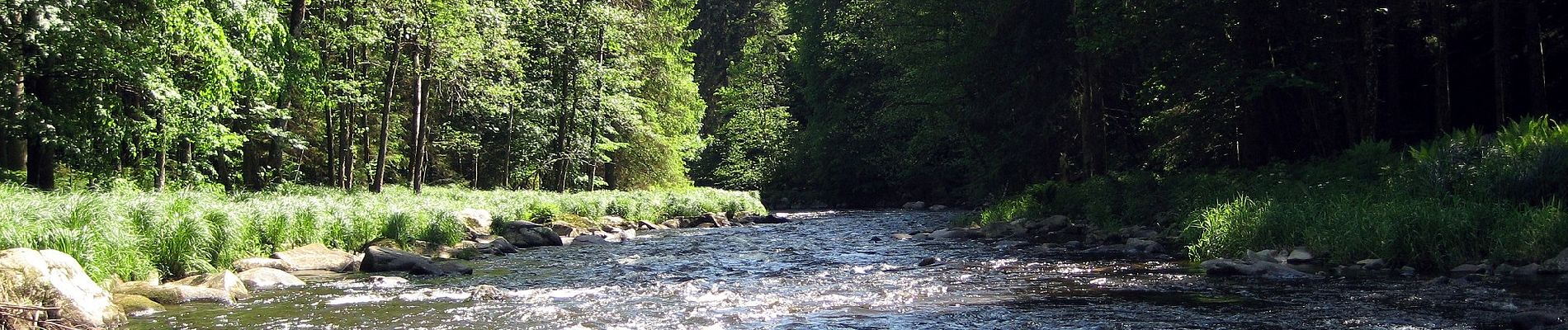 Randonnée A pied Fürsteneck - Fürstenecker Triftsteig - Photo