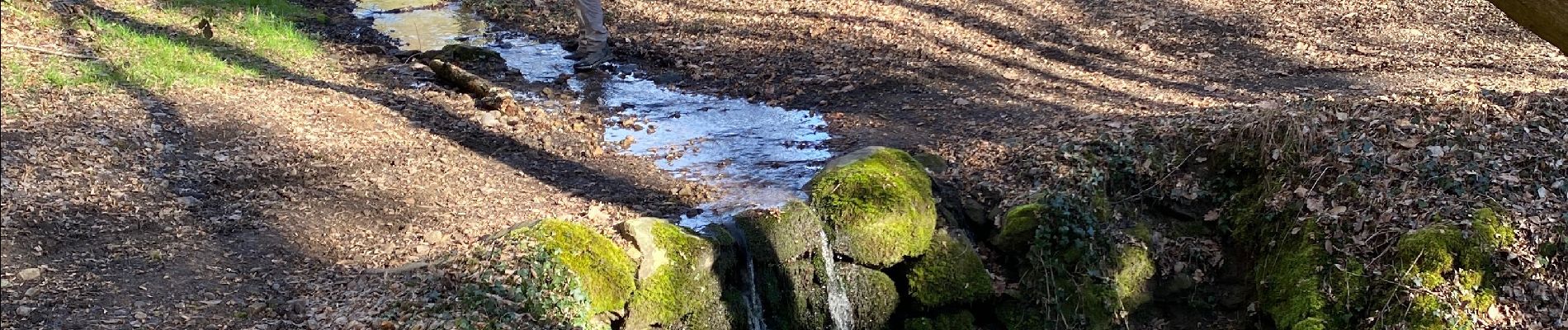 Trail Walking Saint-Médard-en-Forez - Boucle de St Médard - Photo