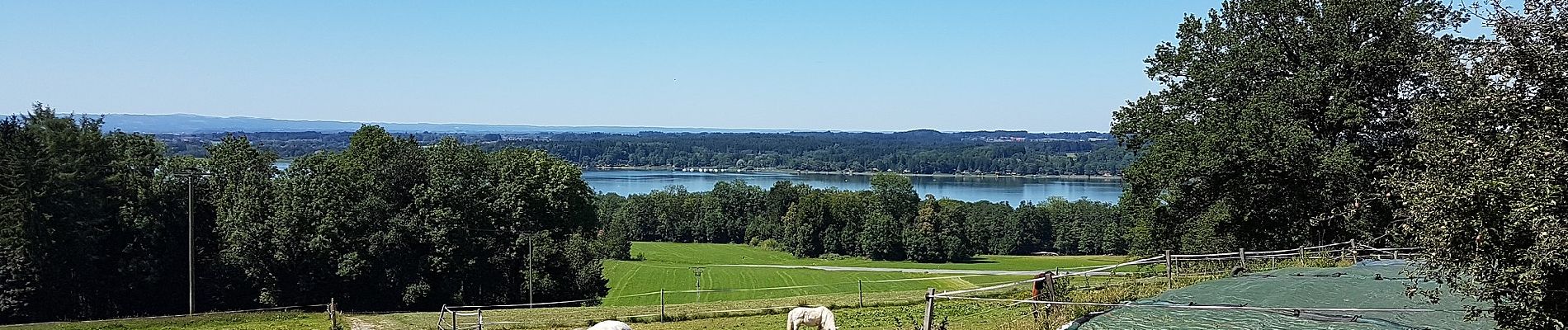 Tour Zu Fuß Riedering - Simsseewanderweg - Photo