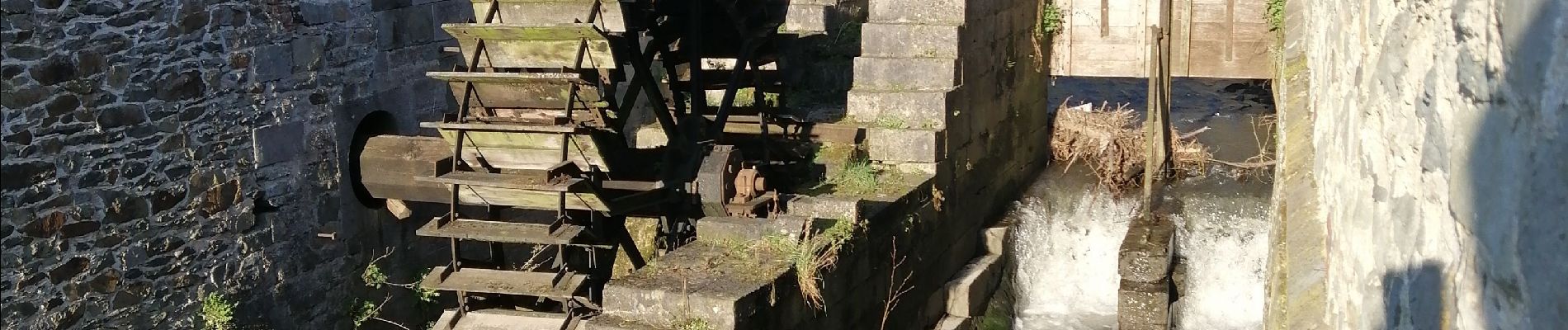 Tour Wandern Braine-le-Château - braine le château  - Photo