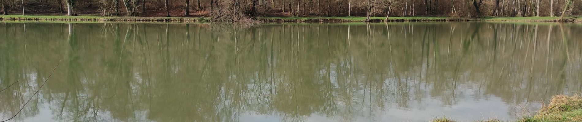 Randonnée Marche Heimsbrunn - Morschw Galfingue retour  - Photo