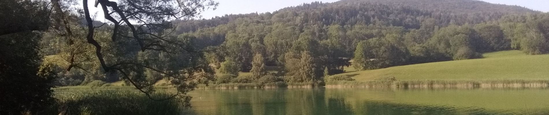 Tocht Wegfiets La Ravoire - lac de la Thuile Curienne, St Jean d'Arvey - Photo