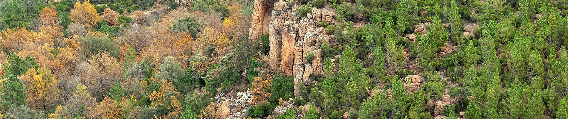 Tour Wandern Bagnols-en-Forêt - REV_ Colle Rousse - Photo