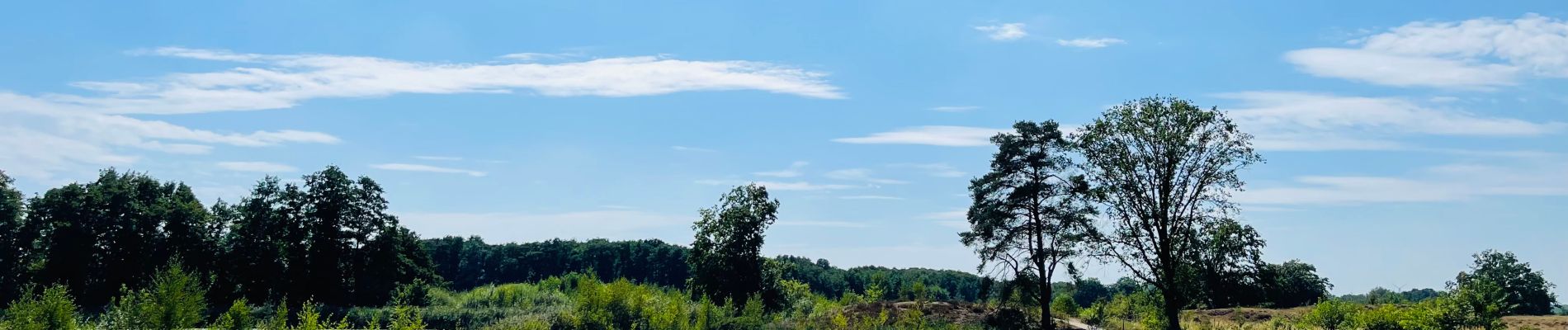 Tour Wandern Genk - de-wijers-de-maten-startplaats-slagmolen-oranje - Photo