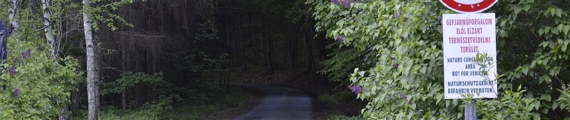 Percorso A piedi Répáshuta - Z■ (Répáshuta - Nagy-mező) - Photo