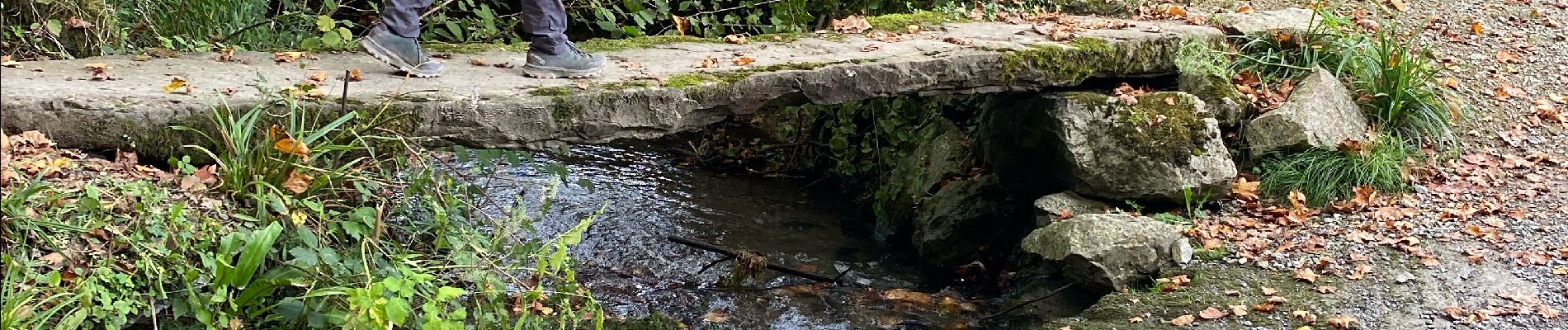 Tour Wandern Ainhoa - Haï holà - Photo