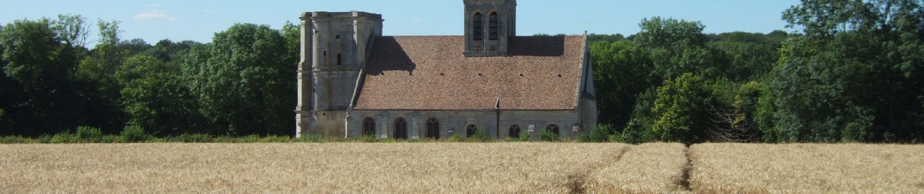 Randonnée A pied Magny-en-Vexin - L’église de Nucourt par le bois de l’Île - Photo
