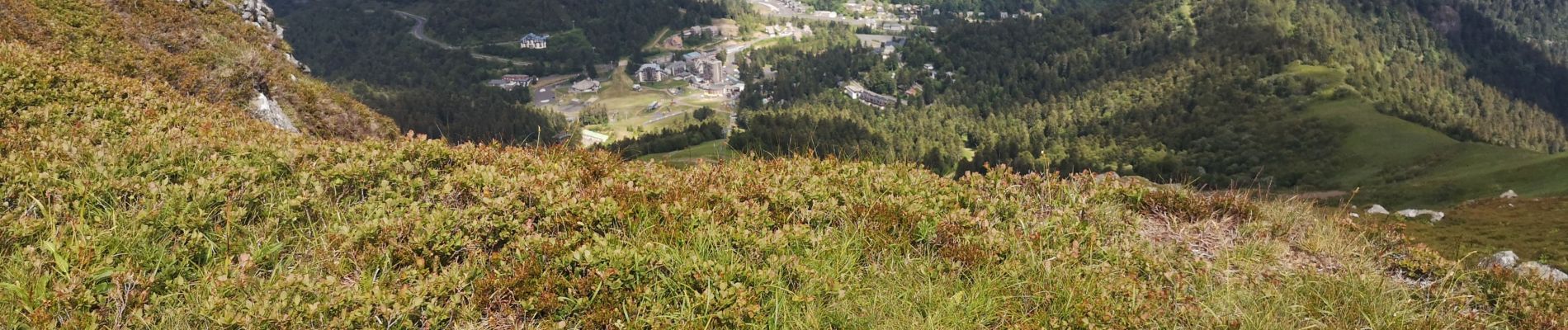 Tour Nordic Walking Laveissière - randonnee  - Photo