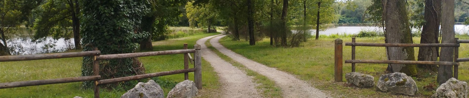 Trail Walking Pierrefitte-sur-Sauldre - ly - Photo