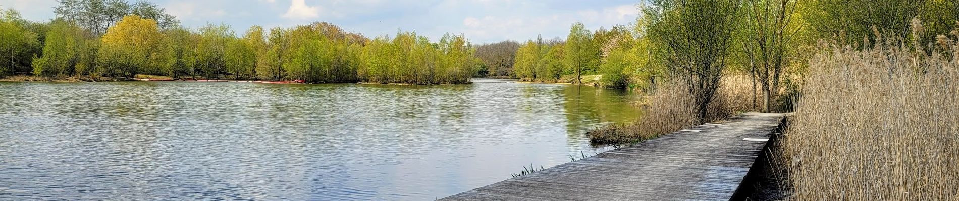 Excursión Senderismo Quincy-sous-Sénart - Boucle 22 km Quincy - Lieussaint- Combs -Ru du Hauldres - Photo