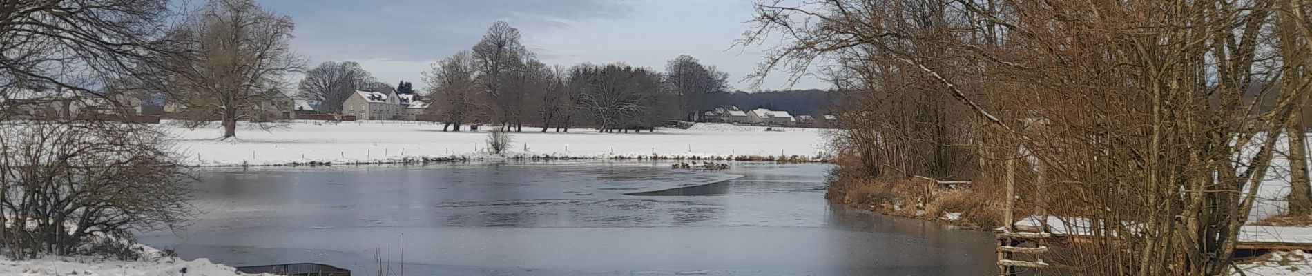 Tocht Stappen Libramont-Chevigny - Marche ADEPS 10km100 à Freux - Photo