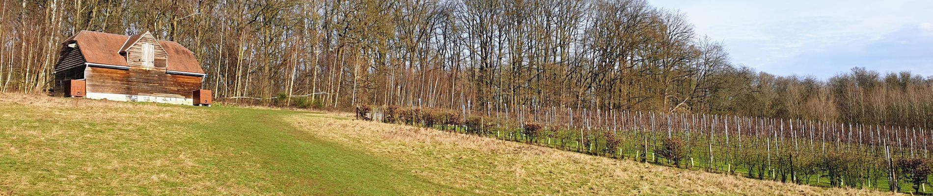 Tocht Stappen Terhulpen - La Hulpe - Gaillemarde - Photo