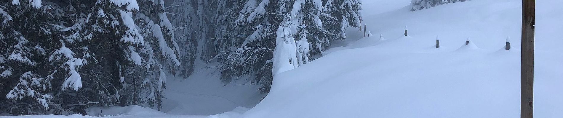 Excursión A pie Gemeinde Unken - Wanderweg 16 - Winklmoosalm - Hemmersuppenalm - Photo