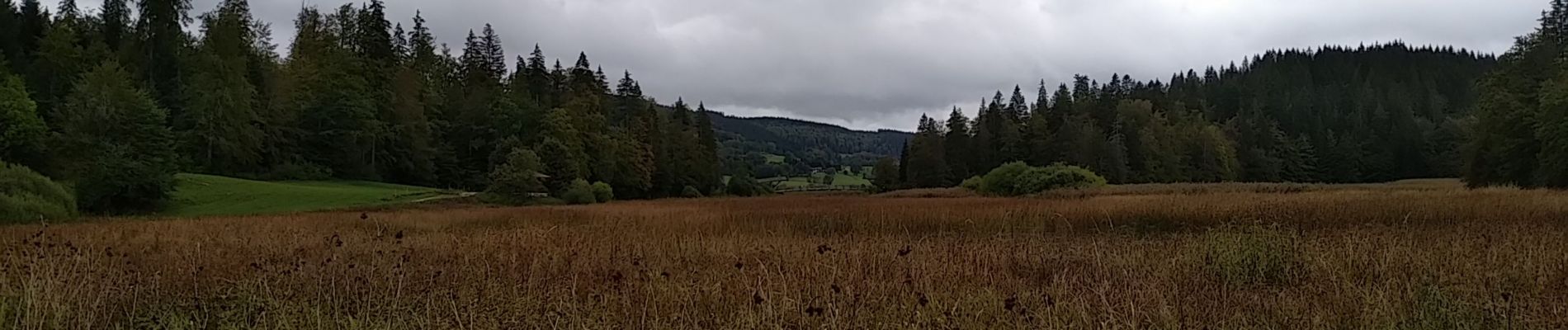 Tocht Stappen Montperreux -                                     La Gouille - Photo