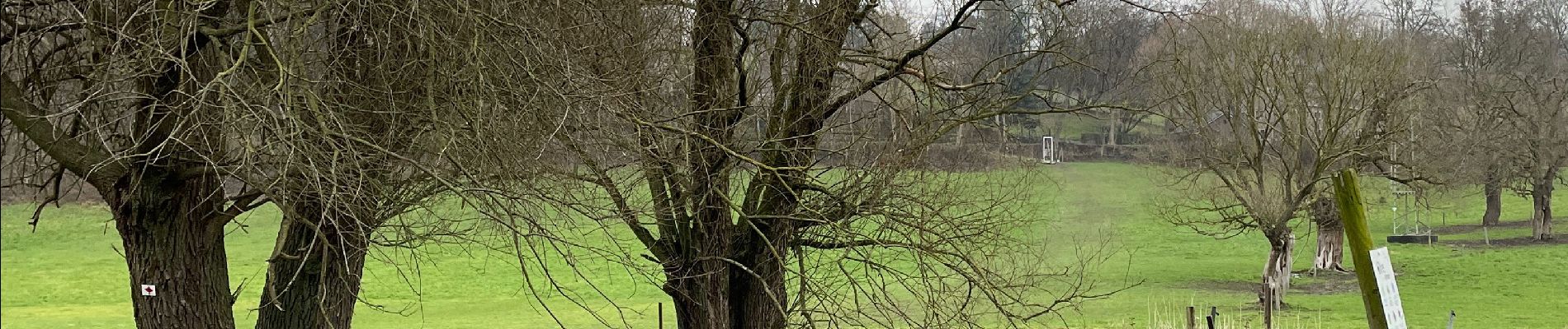 Tocht Stappen Olne - Balade 9 Olne à partir de Hansez - Photo