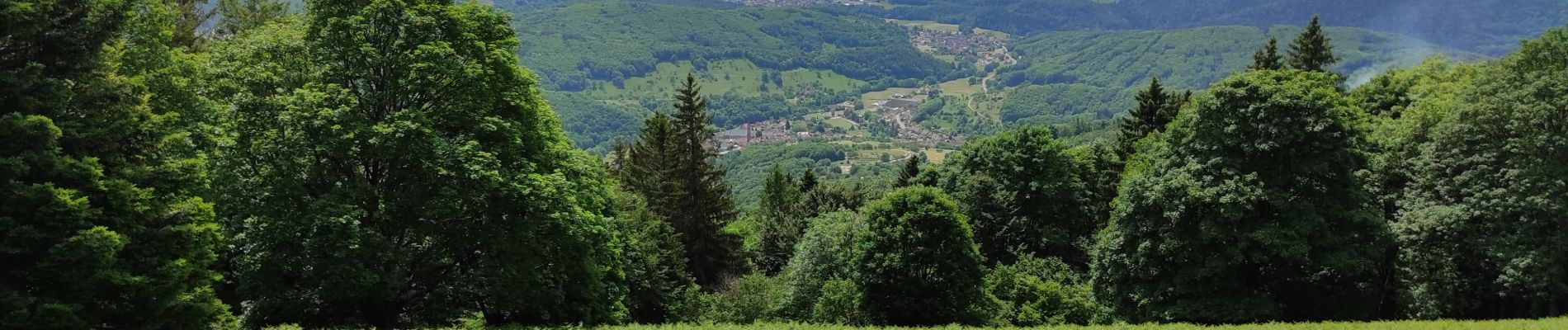 Tocht Stappen Le Hohwald - Le Hohwald Champs du Feu  - Photo