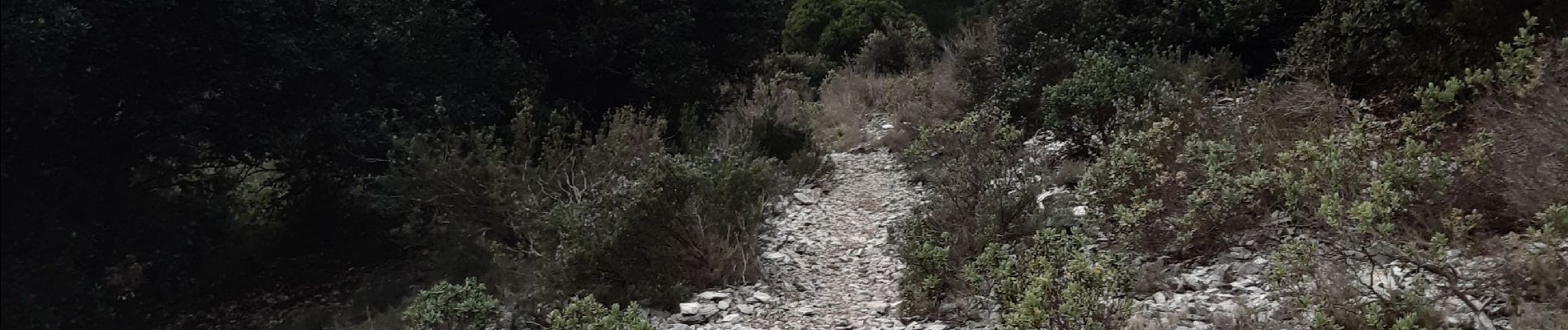 Trail Trail Mérindol - Croix de fer / Pic de faiendre  - Photo