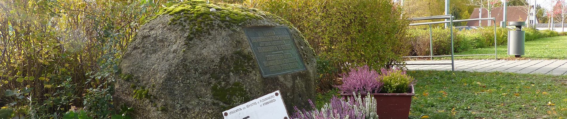 Tour Zu Fuß Hersbruck - Hersbrucker Rundweg Nr. 8 - Photo