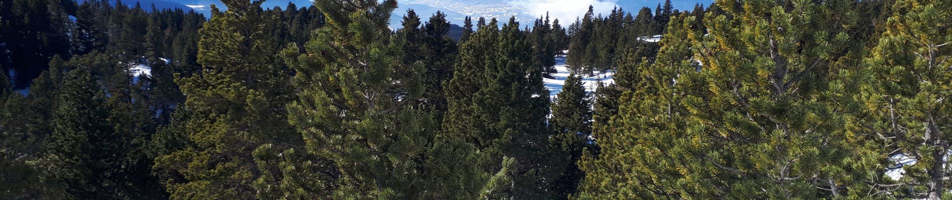 Randonnée Raquettes à neige Vaulnaveys-le-Haut - Lac Achard, col de l'infernet, col de la Botte au départ de l'Arselle - Photo