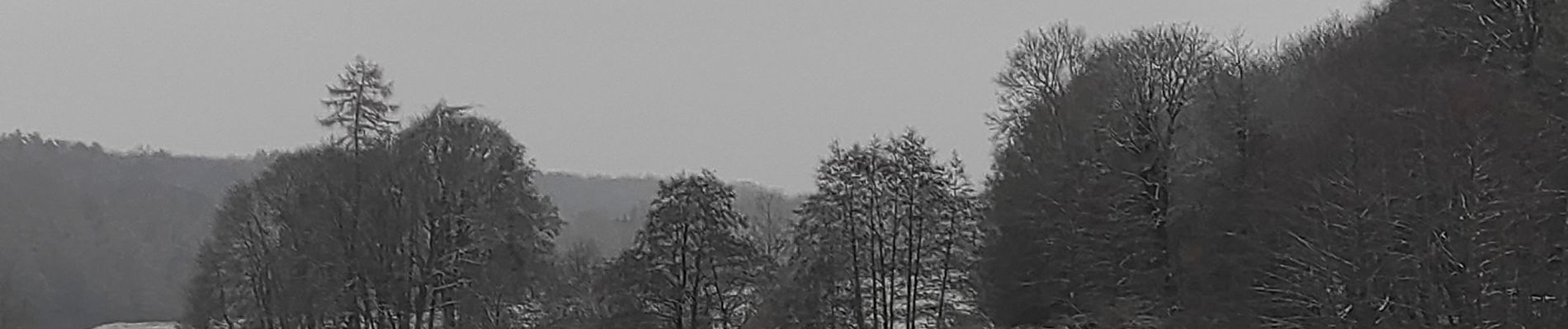 Tocht Stappen Hotton - Bois de Hampteau bis - Photo