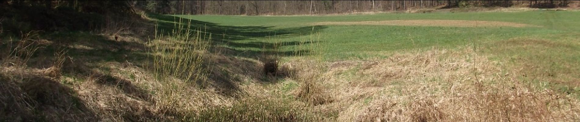 Tour Zu Fuß Haundorf - Fränkisches Seenland 110 - Photo