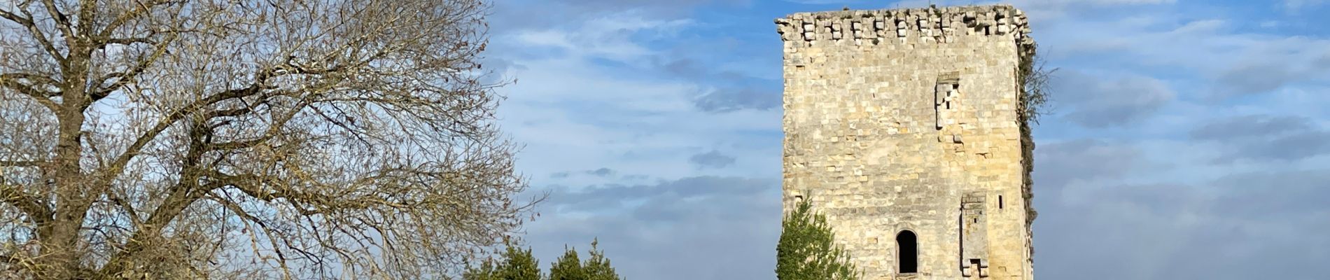 Tour Wandern Mérignac - Mérignac les parcs - Photo