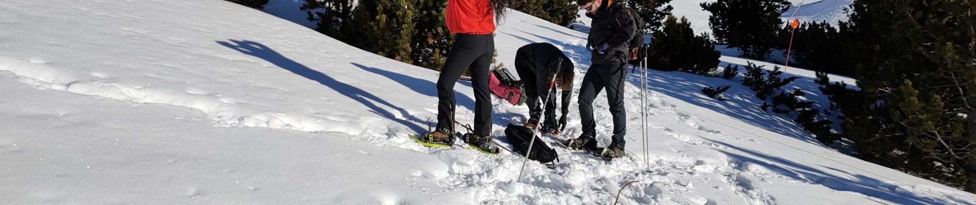 Trail Snowshoes Font-Romeu-Odeillo-Via - Autour du refuge de La Calme  - Photo