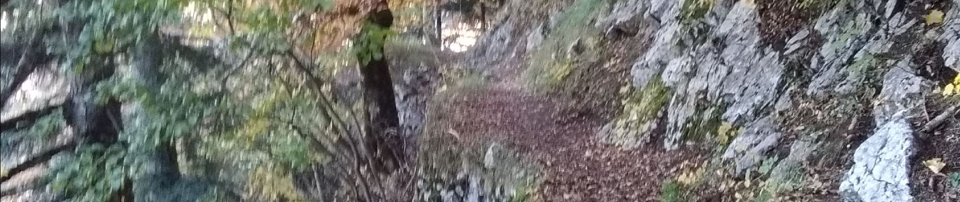 Trail Walking Romeyer - La rive du rocher des heures - Photo