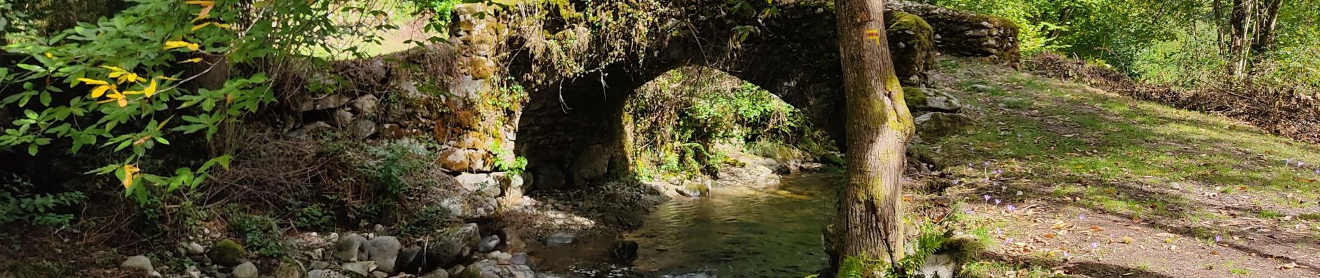 Randonnée Marche Bédeilhac-et-Aynat - au pied du Calames - Photo