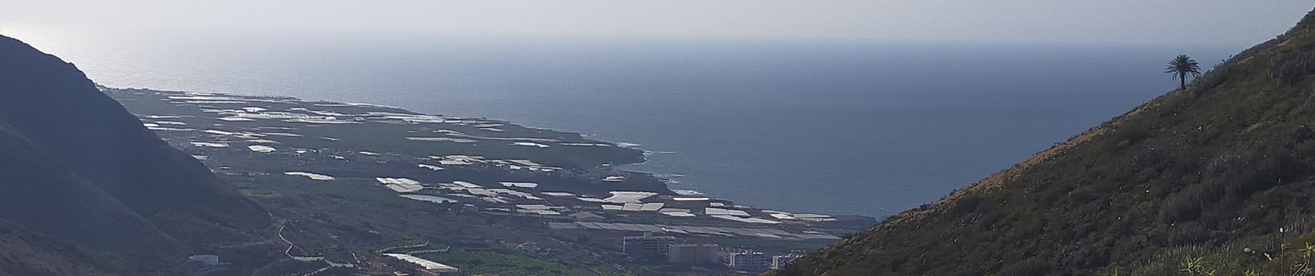 Tour Wandern Tegueste - Cruz del Carmen - Bajamar PR-TF12 - Photo