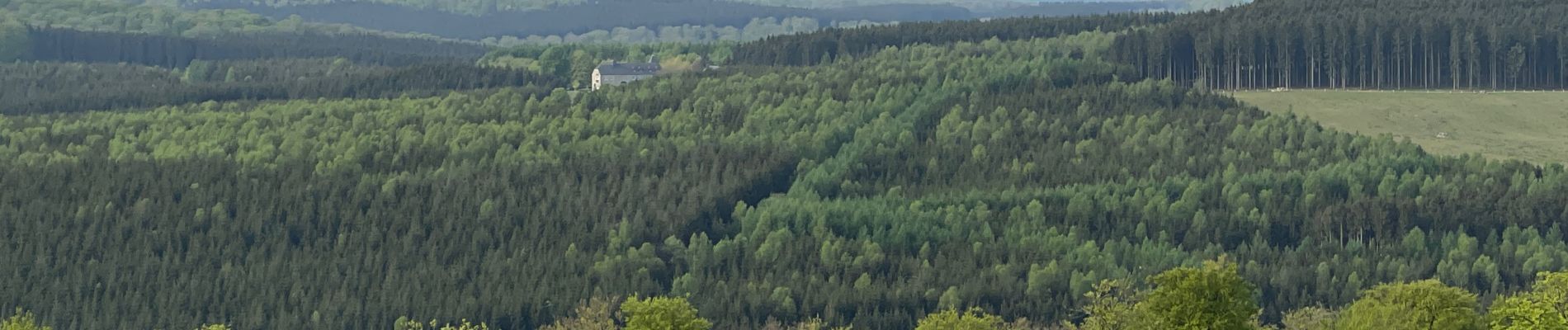 Tocht Stappen Libramont-Chevigny - Bras-carriere - Photo