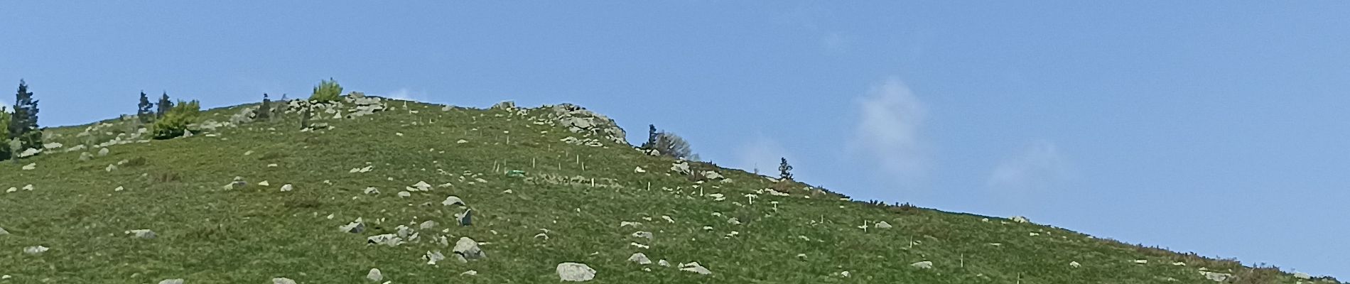 Tour Wandern Stoßweier - Sentier des roches, hohneck, schiessrothried - Photo