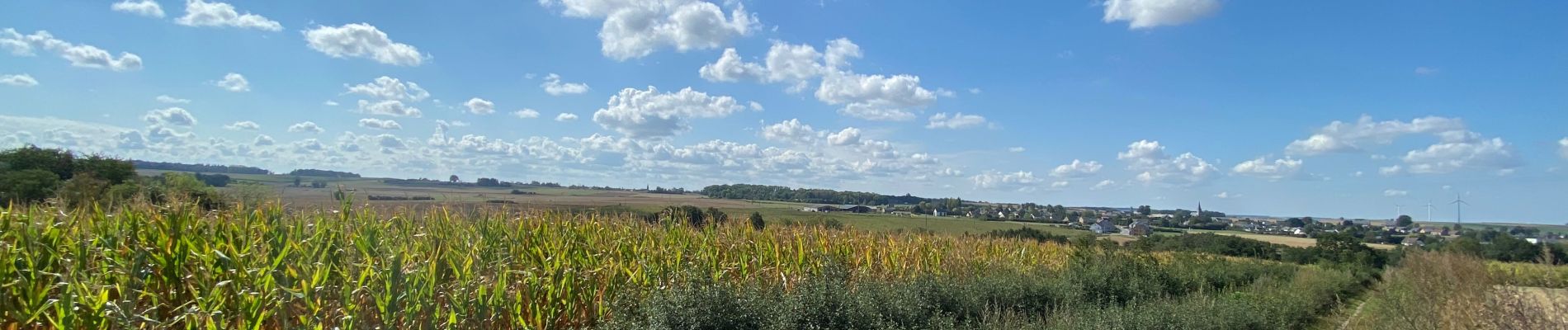 Tour Wandern Gerpinnes - Fromiée Hanzinne Hymiée - Photo