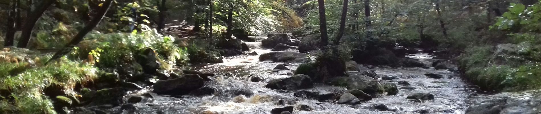 Tour Wandern Jalhay - Vallée de la Hoëgne  - Photo